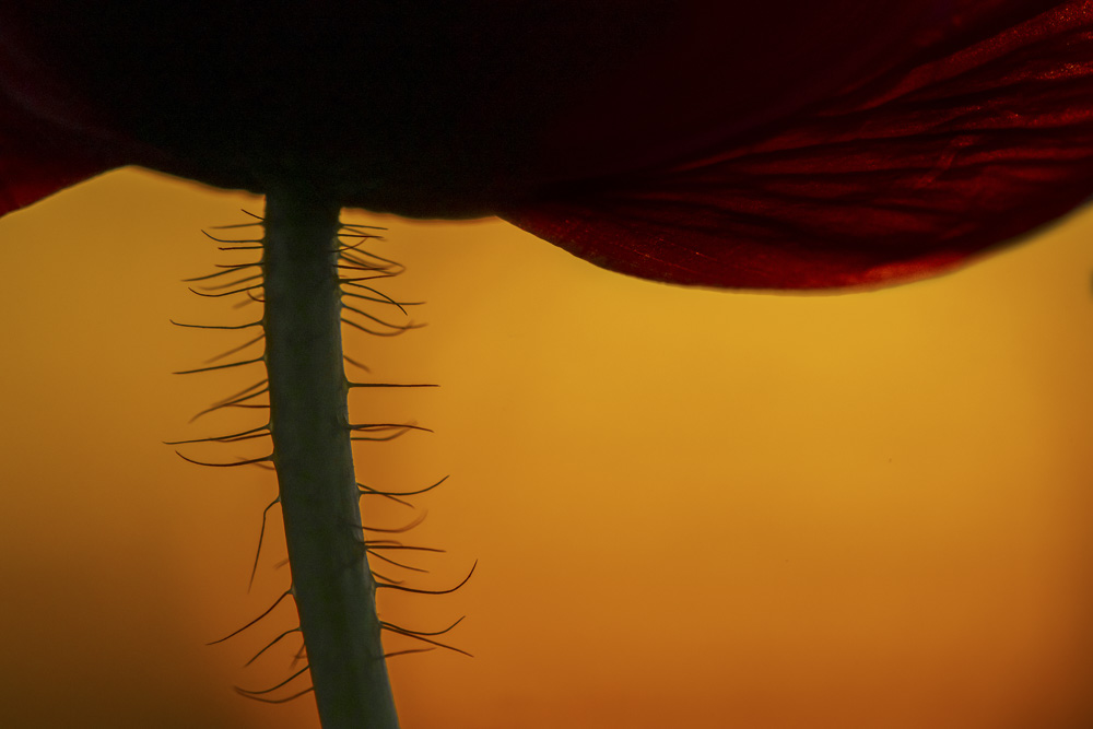 Platz 12 Robert Seitz